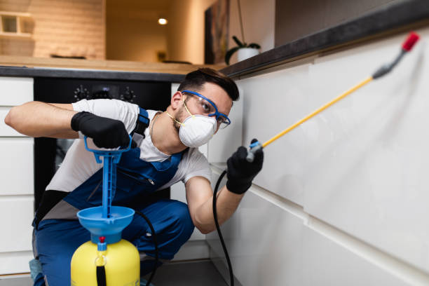 Best Rat Extermination Near Me  in Brookville, IN