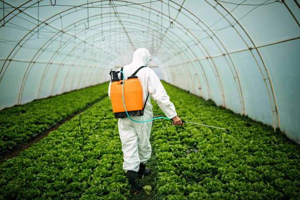 Reliable Brookville, IN Pest Control Solutions