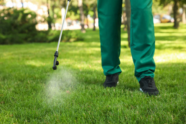 Best Pest Removal Services  in Brookville, IN